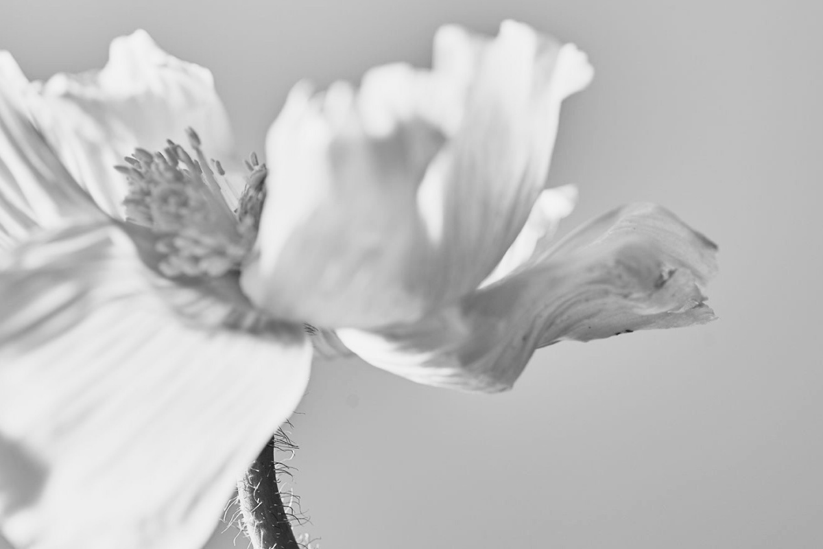 Sans titre - 2020-04-04T165812.130