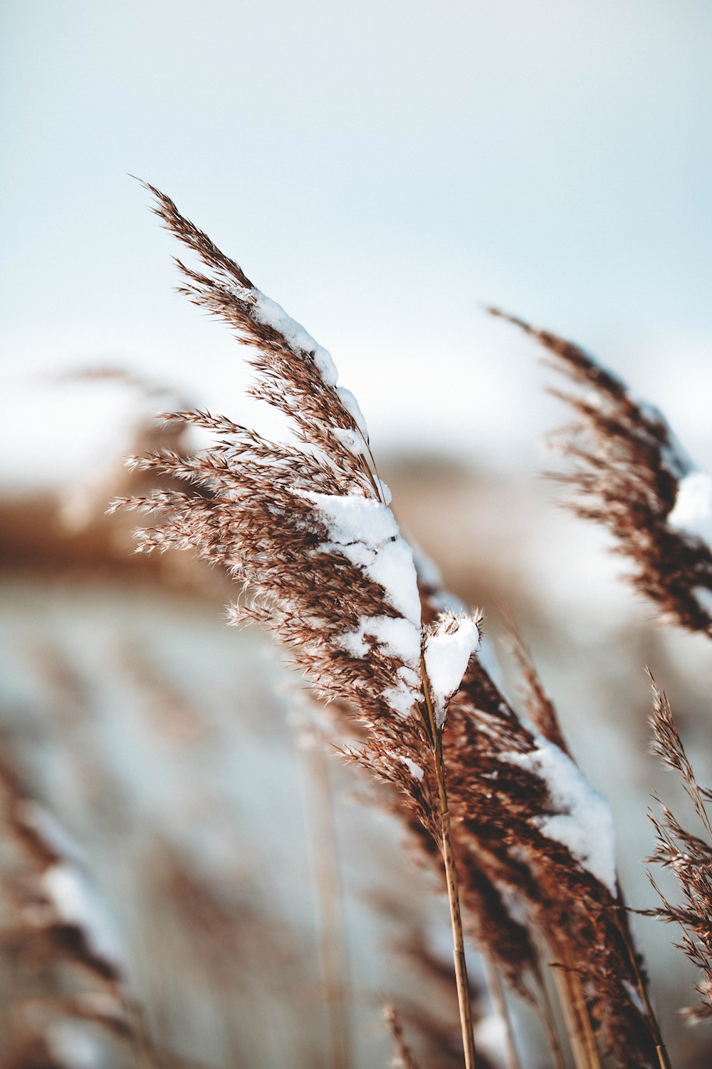 joshua-fuller-JGf0KBPj3x4-unsplash - copie